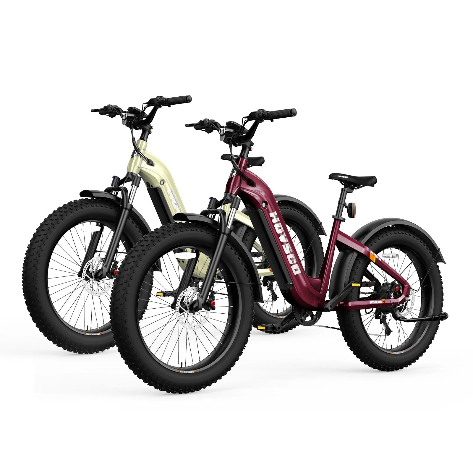 HOVSCO HovAlpha 26" Fat Tire Electric Bike