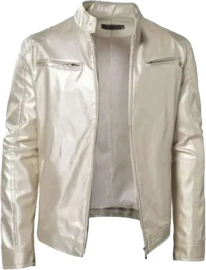Maiyifu-GJ Men's Leather Jackets Stand Collar Slim Fit Faux Leather Jacket Casual Lightweight Motorcycle Biker Coat Outerwear